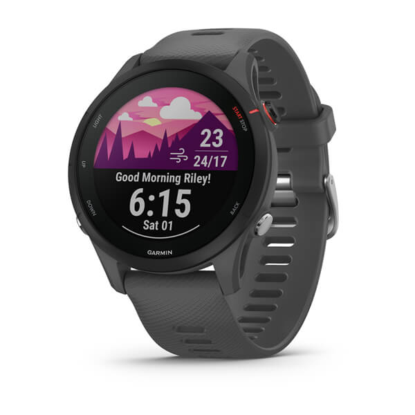 Garmin Forerunner 255 Basic Gps Eu/Pac Slate Grey